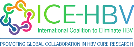 ICE-HBV logo